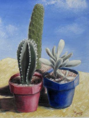Cacti by Vincent Monaco